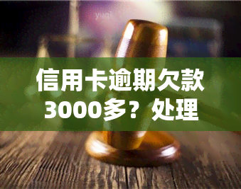 信用卡逾期欠款3000多？处理方法、立案时间、被起诉风险全解析！