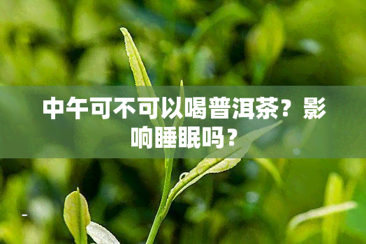 中午可不可以喝普洱茶？影响睡眠吗？