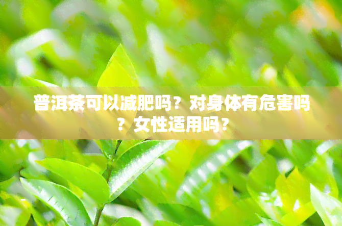 普洱茶可以减肥吗？对身体有危害吗？女性适用吗？