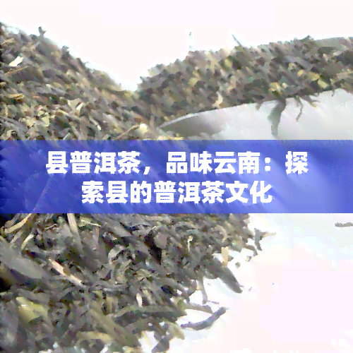 县普洱茶，品味云南：探索县的普洱茶文化