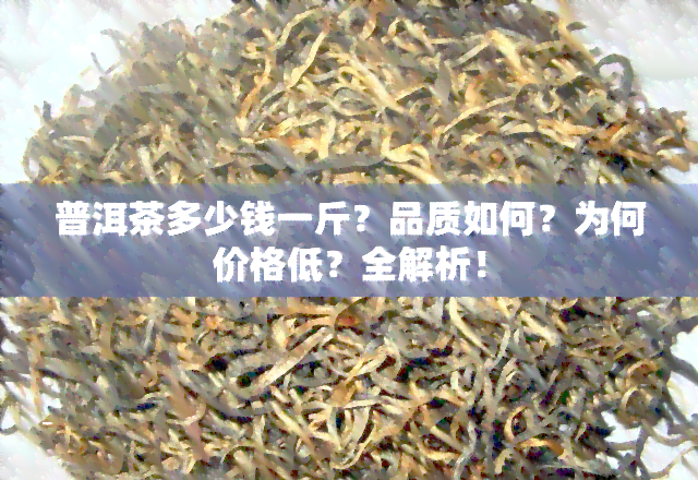 普洱茶多少钱一斤？品质如何？为何价格低？全解析！