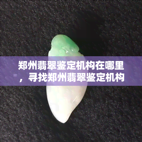 郑州翡翠鉴定机构在哪里，寻找郑州翡翠鉴定机构？这里告诉你在哪里可以找到！