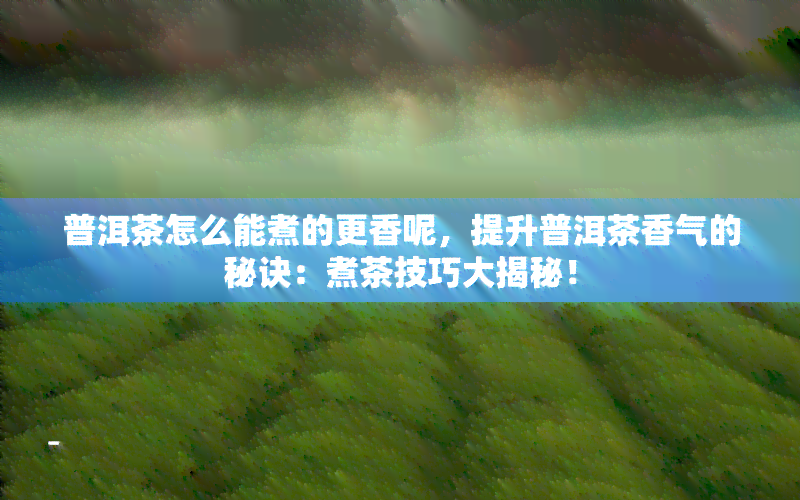 普洱茶怎么能煮的更香呢，提升普洱茶香气的秘诀：煮茶技巧大揭秘！