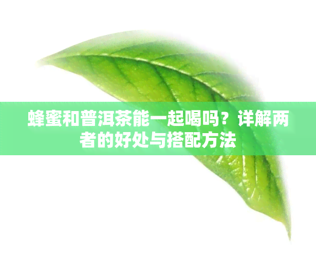 蜂蜜和普洱茶能一起喝吗？详解两者的好处与搭配方法