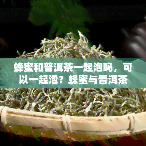 蜂蜜和普洱茶一起泡吗，可以一起泡？蜂蜜与普洱茶的神秘搭配