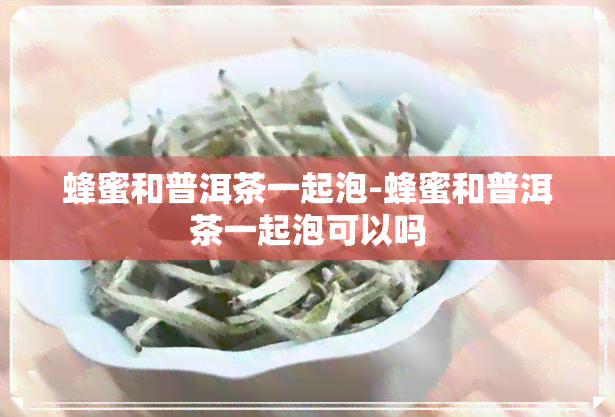 蜂蜜和普洱茶一起泡-蜂蜜和普洱茶一起泡可以吗