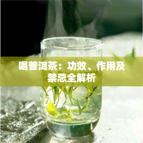 喝普洱茶：功效、作用及禁忌全解析