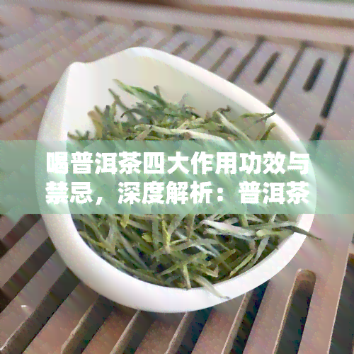 喝普洱茶四大作用功效与禁忌，深度解析：普洱茶的四大功效、作用及饮用禁忌