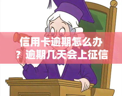 信用卡逾期怎么办？逾期几天会上？服刑/关押/拘留情况下如何处理？