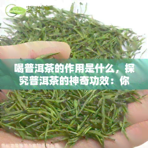 喝普洱茶的作用是什么，探究普洱茶的神奇功效：你不得不知的作用