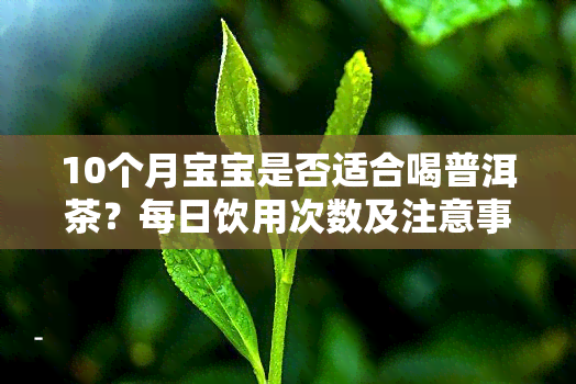 10个月宝宝是否适合喝普洱茶？每日饮用次数及注意事全解析