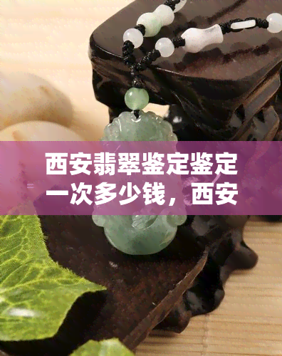 西安翡翠鉴定鉴定一次多少钱，西安翡翠鉴定：一次鉴定的费用是多少？