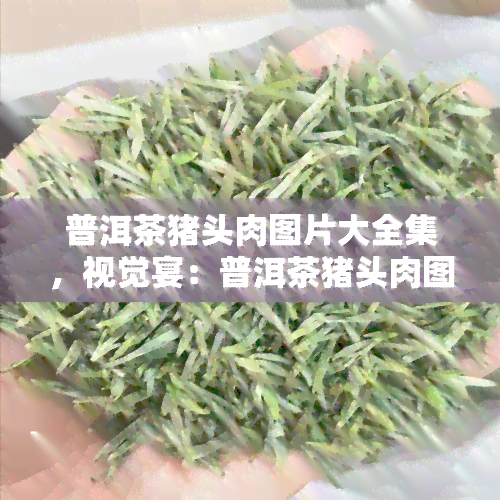 普洱茶猪头肉图片大全集，视觉宴：普洱茶猪头肉图片大全集