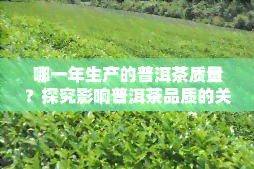 哪一年生产的普洱茶质量？探究影响普洱茶品质的关键因素