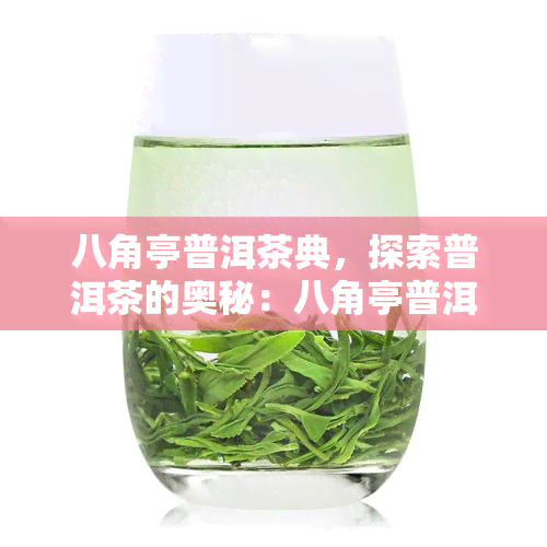 八角亭普洱茶典，探索普洱茶的奥秘：八角亭普洱茶典解读