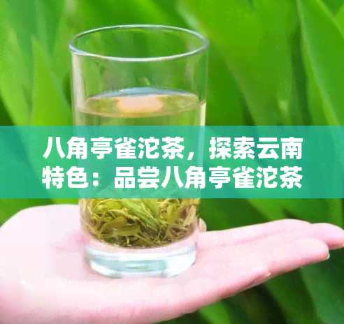 八角亭雀沱茶，探索云南特色：品尝八角亭雀沱茶的韵味