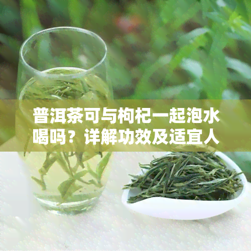 普洱茶可与枸杞一起泡水喝吗？详解功效及适宜人群