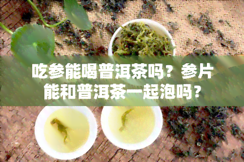 吃参能喝普洱茶吗？参片能和普洱茶一起泡吗？