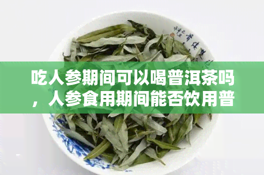 吃人参期间可以喝普洱茶吗，人参食用期间能否饮用普洱茶？