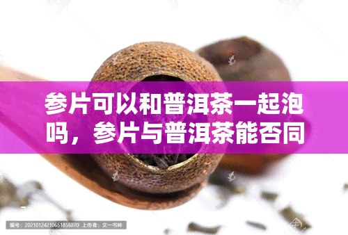 参片可以和普洱茶一起泡吗，参片与普洱茶能否同泡？专家解析