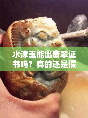 水沫玉能出翡翠证书吗？真的还是假的？与翡翠有何区别？证书上会写什么？