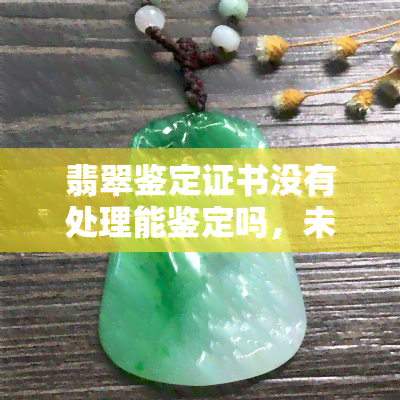 翡翠鉴定证书没有处理能鉴定吗，未处理的翡翠鉴定证书是否能进行鉴定？