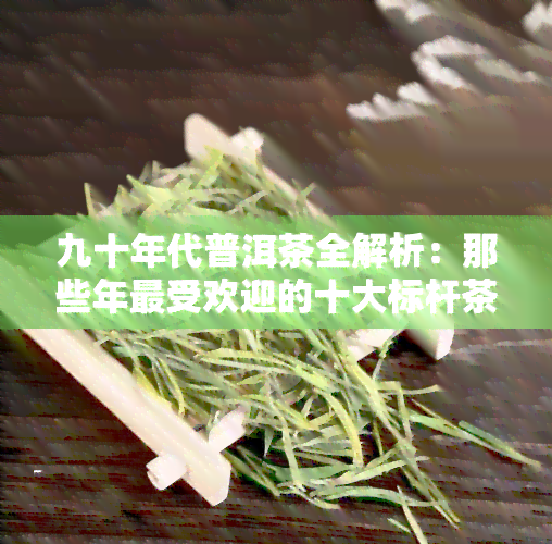 九十年代普洱茶全解析：那些年更受欢迎的十大标杆茶叶