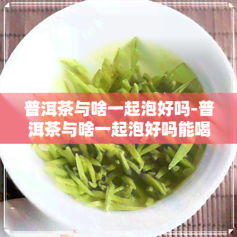 普洱茶与啥一起泡好吗-普洱茶与啥一起泡好吗能喝吗