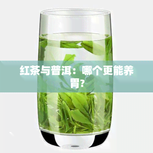 红茶与普洱：哪个更能养胃?