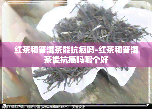 红茶和普洱茶能抗癌吗-红茶和普洱茶能抗癌吗哪个好