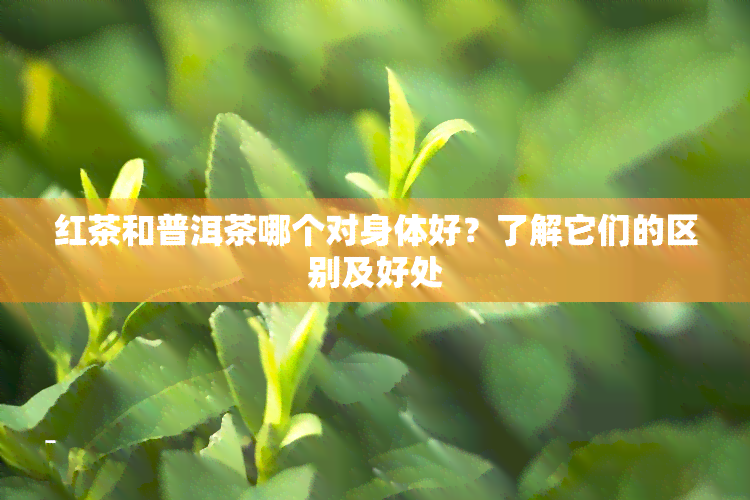 红茶和普洱茶哪个对身体好？了解它们的区别及好处