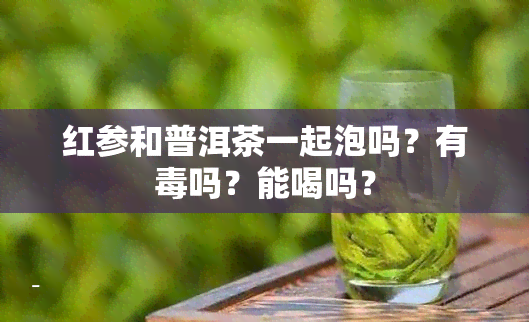 红参和普洱茶一起泡吗？有吗？能喝吗？