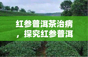 红参普洱茶治病，探究红参普洱茶的神奇疗效：是否能真正治病？