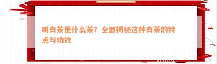 明白茶是什么茶？全面揭秘这种白茶的特点与功效