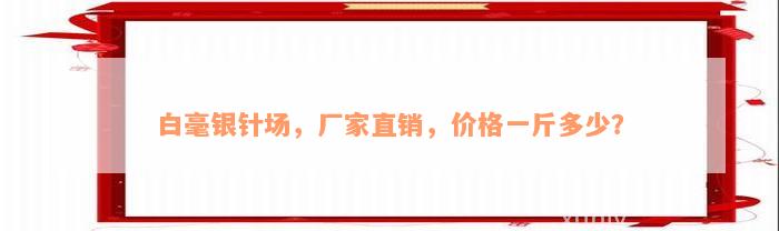 白毫银针场，厂家直销，价格一斤多少？