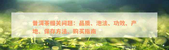 普洱茶相关问题：品质、泡法、功效、产地、保存方法、购买指南