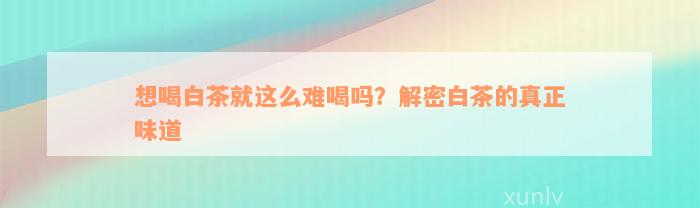 想喝白茶就这么难喝吗？解密白茶的真正味道