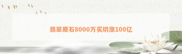 翡翠原石8000万买切涨100亿