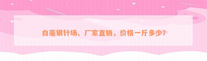 白毫银针场、厂家直销，价格一斤多少？