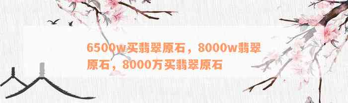 6500w买翡翠原石，8000w翡翠原石，8000万买翡翠原石