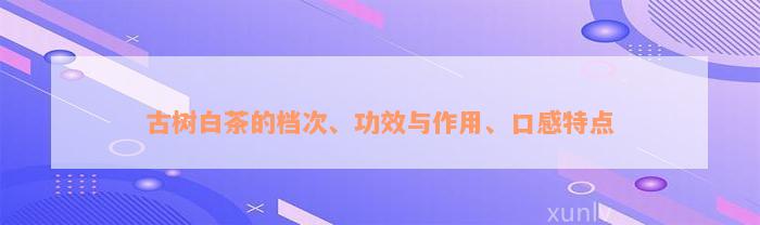 古树白茶的档次、功效与作用、口感特点