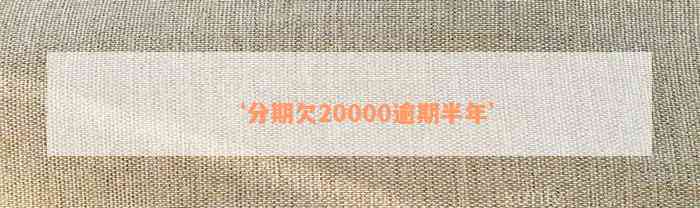 ‘分期欠20000逾期半年’