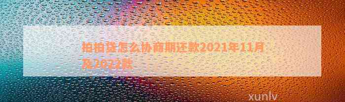 拍拍贷怎么协商期还款2021年11月及2022款