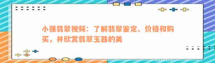 小强翡翠视频：了解翡翠鉴定、价格和购买，并欣赏翡翠玉器的美