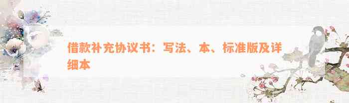 借款补充协议书：写法、本、标准版及详细本