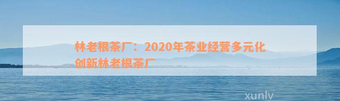 林老根茶厂：2020年茶业经营多元化创新林老根茶厂