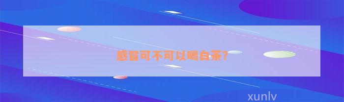 感冒可不可以喝白茶？