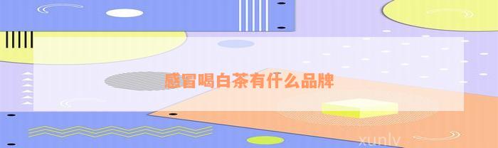 感冒喝白茶有什么品牌