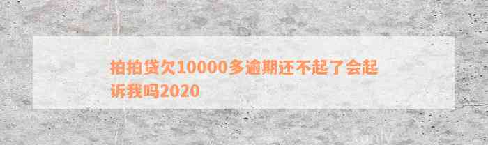 拍拍贷欠10000多逾期还不起了会起诉我吗2020