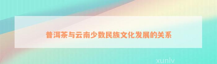 普洱茶与云南少数民族文化发展的关系